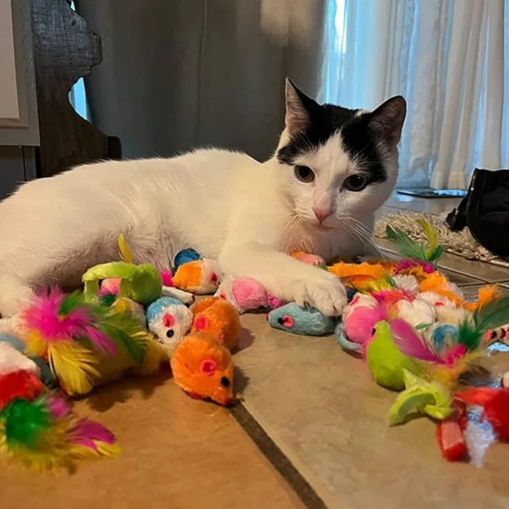 Rattle Cat Mouse Toys - Cat Mice Toys Interactive